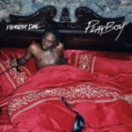 Fireboy DML – Playboy